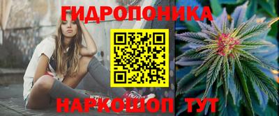 spice Краснознаменск