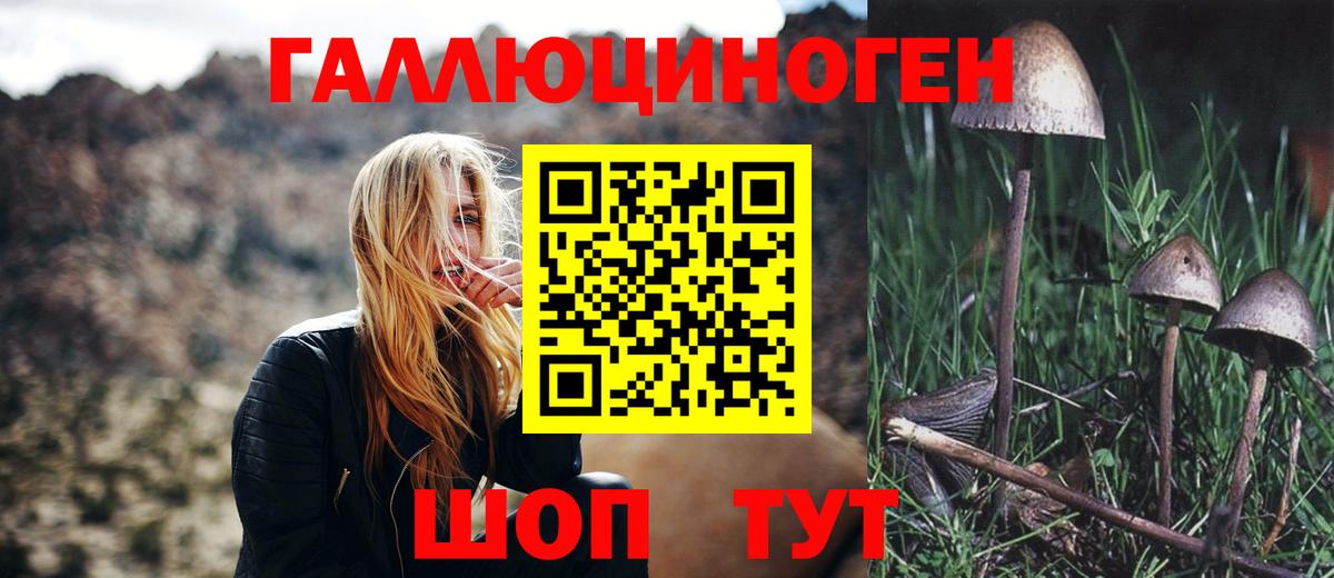 Псилоцибиновые грибы Psilocybine cubensis  хочу наркоту  Вход с VPN  Ефремов  Псилоцибиновые грибы Psilocybine cubensis 